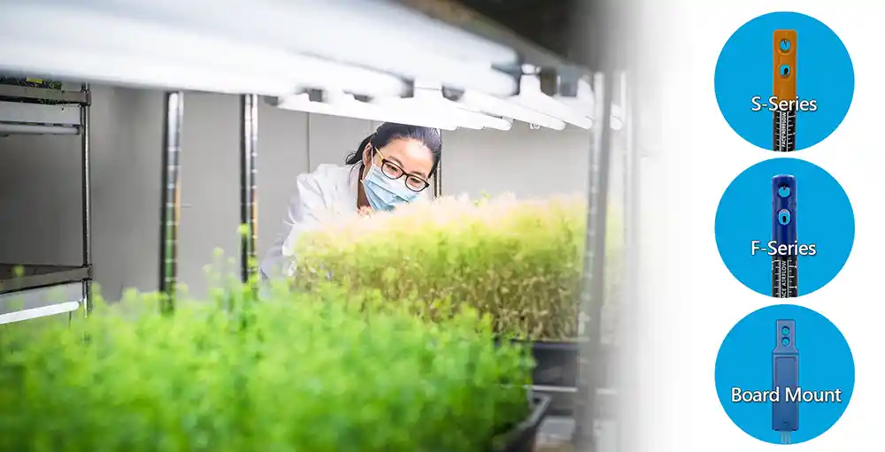 Air velocity & temperature sensing products from Degree Controls are used in and around grow cabinets and grow rooms.