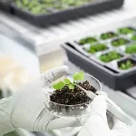 Plant Growth Chambers optimization with embedded airflow sensors.